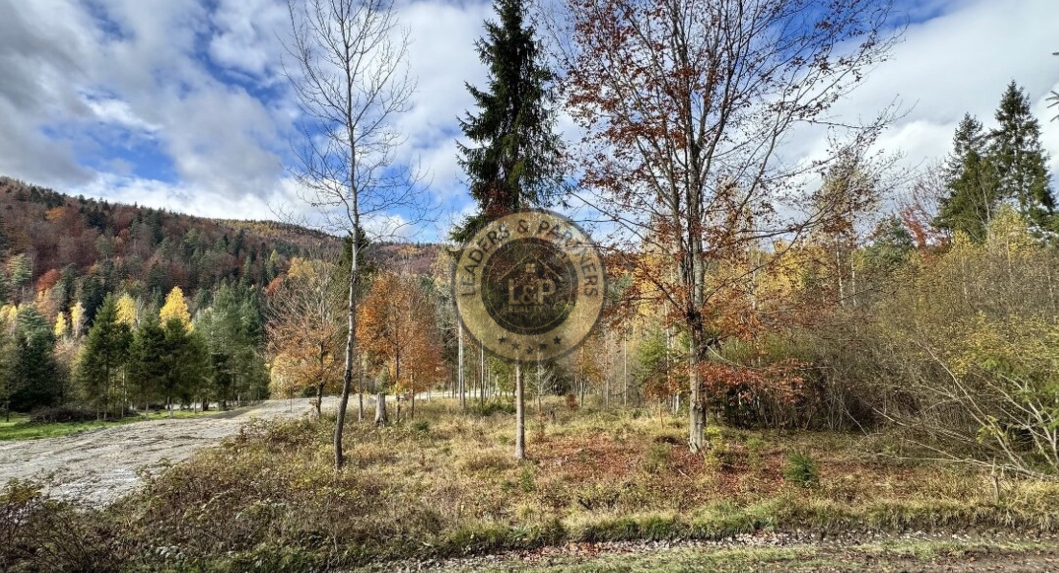 Pozemok - Pozemky Zahájnica - Nálepkovo - 2707m2 - 15