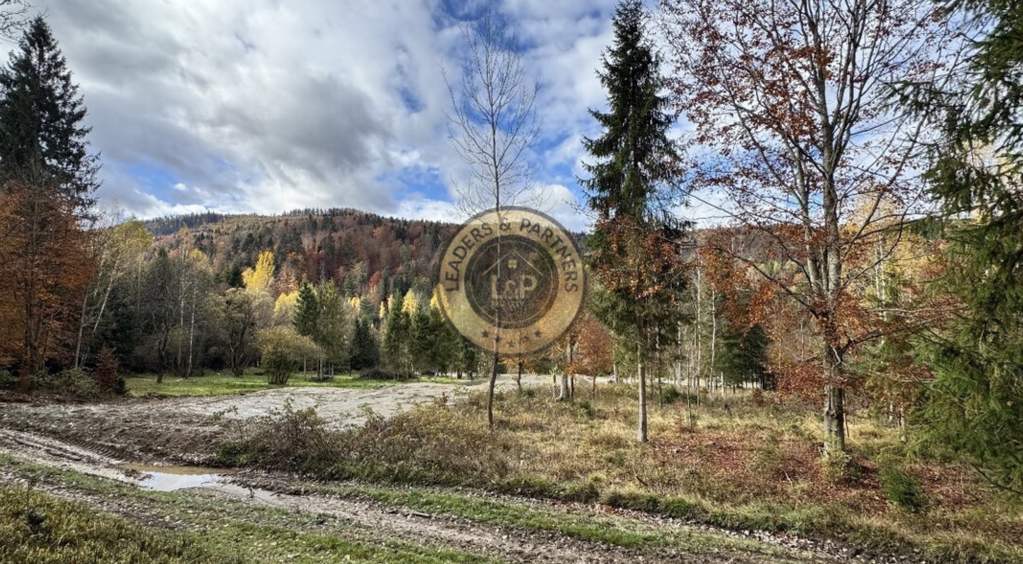 Pozemok - Pozemky Zahájnica - Nálepkovo - 2707m2 - 16