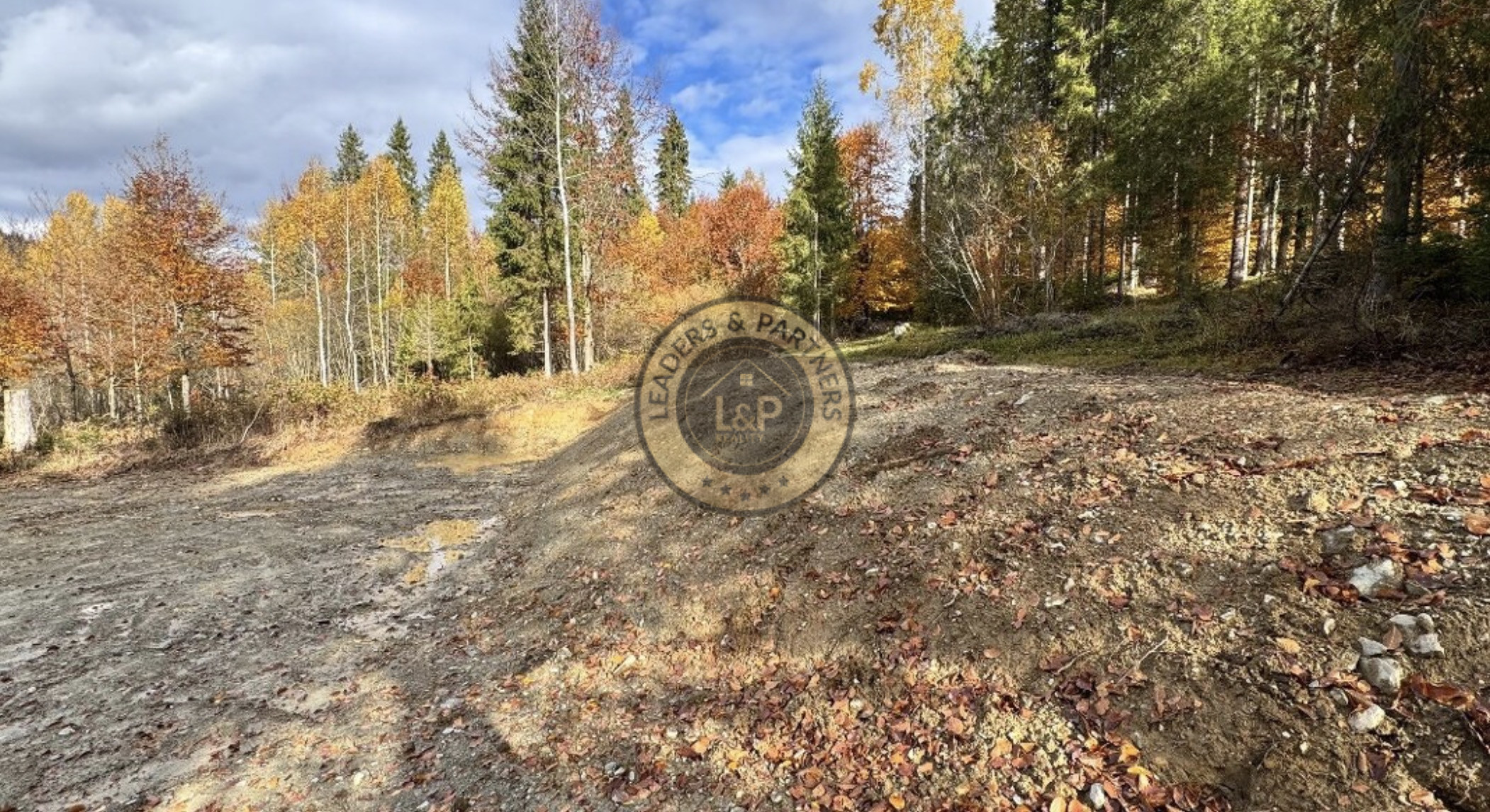 Pozemok - Pozemky Zahájnica - Nálepkovo - 2707m2 - 12