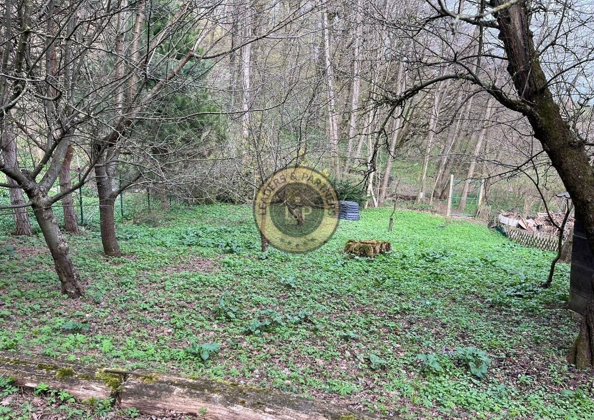 Na predaj chatka s pozemkom Trstín - Rosuchov - 11