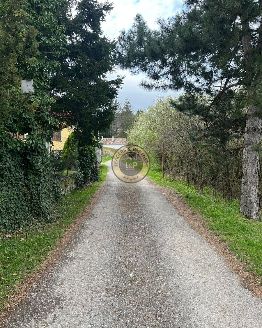 Na predaj chatka s pozemkom Trstín - Rosuchov - 3