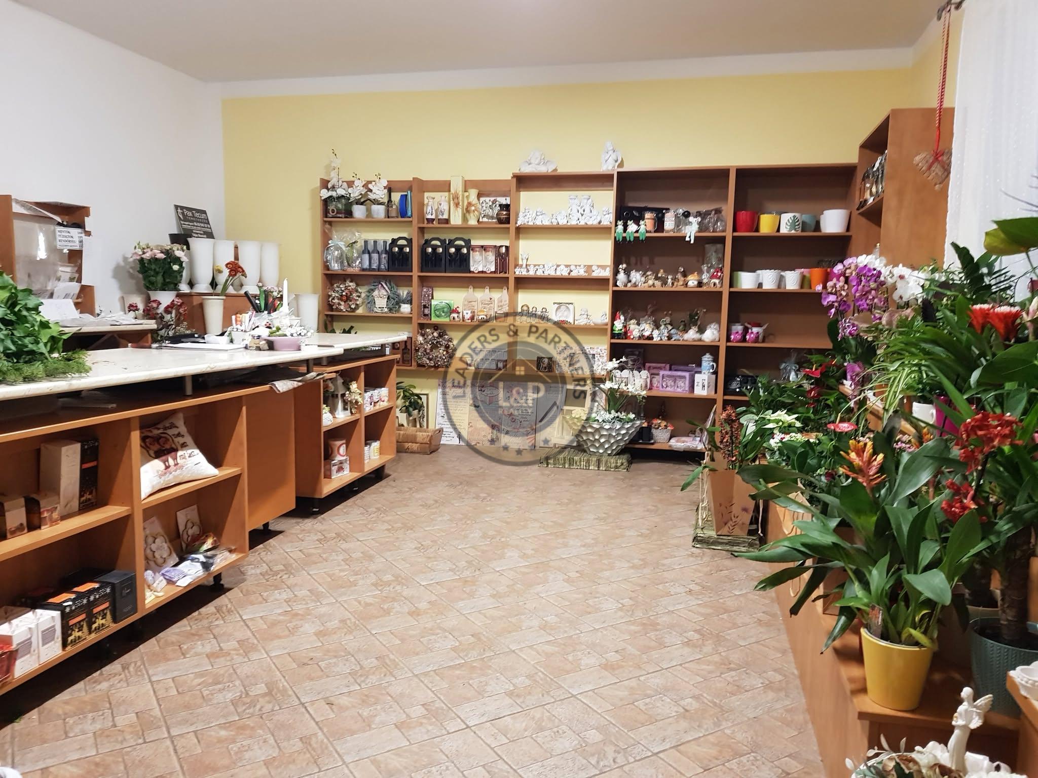 PREDAJ rodinný dom s kvetinárstvom Rajka - 3