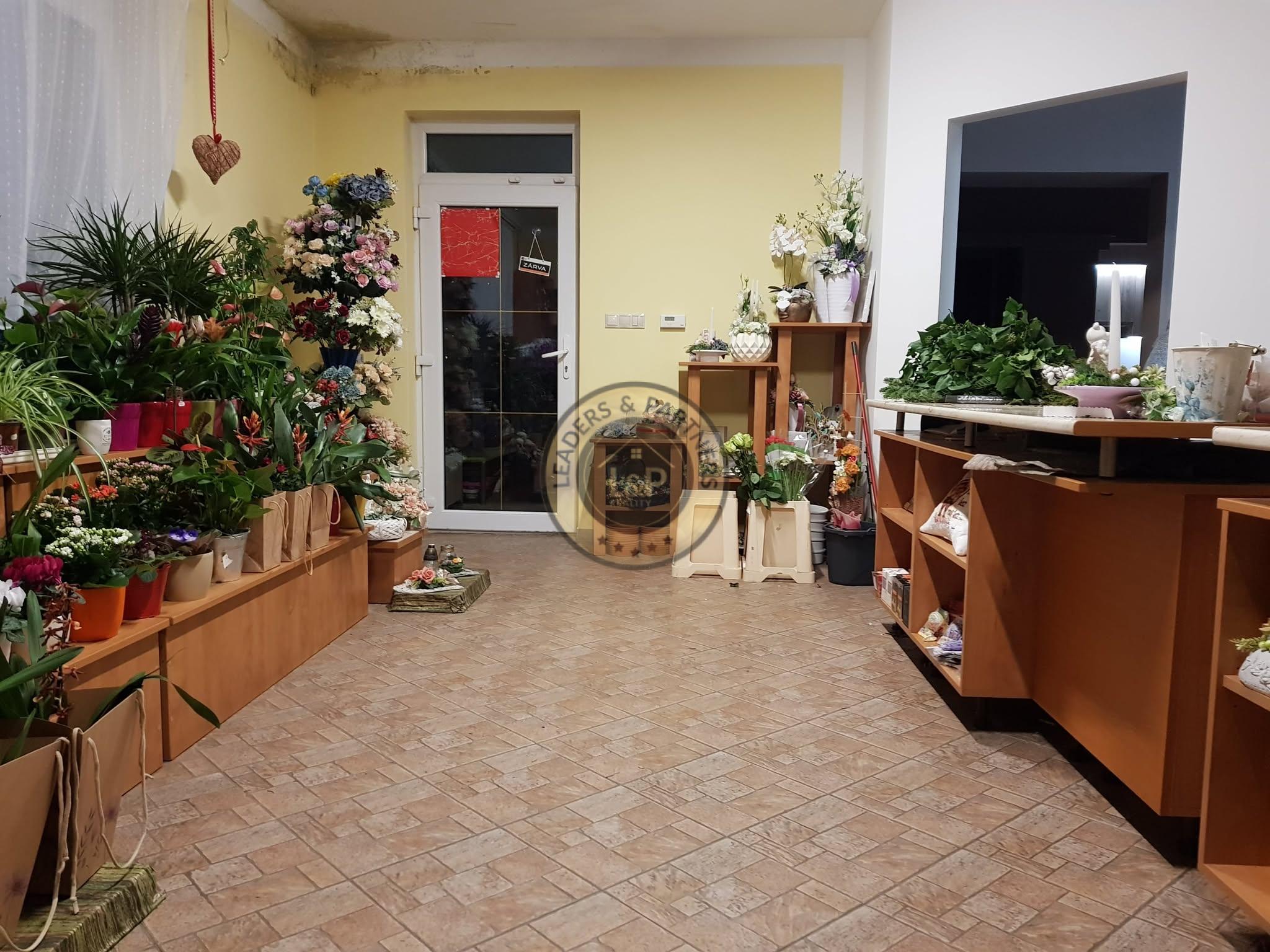 PREDAJ rodinný dom s kvetinárstvom Rajka - 2