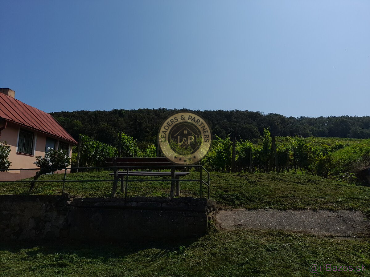 Výhodne- Na predaj vinohrad v Tokajskej oblasti, Viničky. - 2