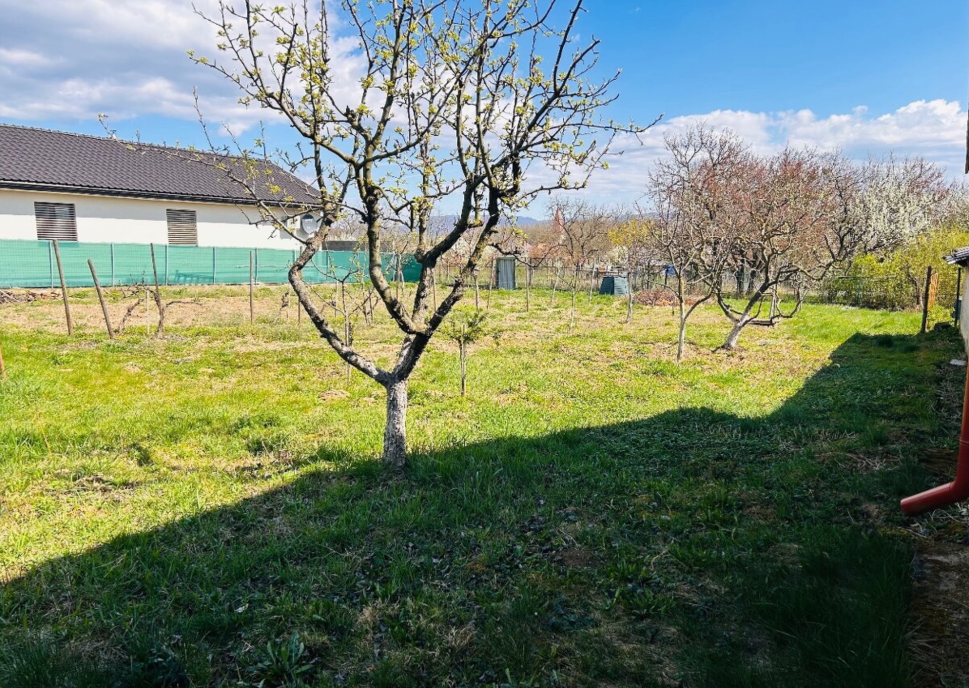 Investičná príležitosť - dom s veľkým pozemkom 1200m² - 3